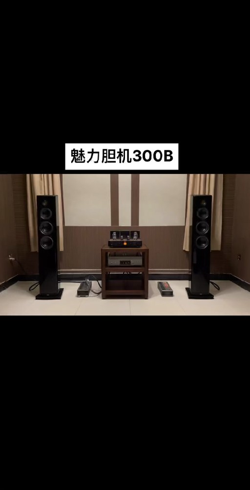魅力胆机信号衰减，放大电路性能提升